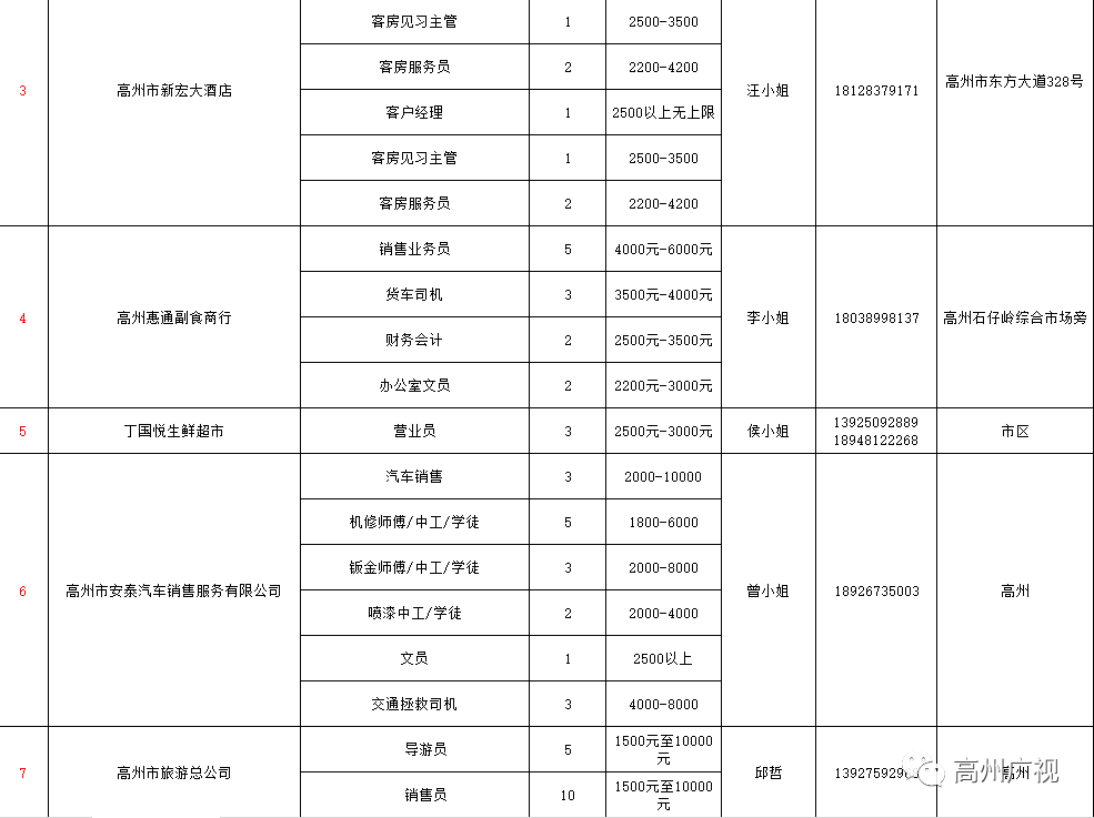 高州市人力資源和社會保障局最新招聘概覽