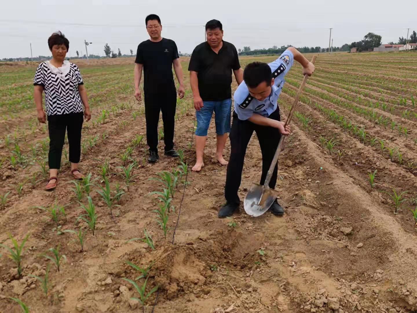 車李村委會最新動態報道