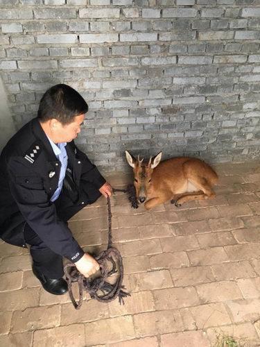 門源回族自治縣公安局推動智能化警務建設，提升社會治安水平新進展