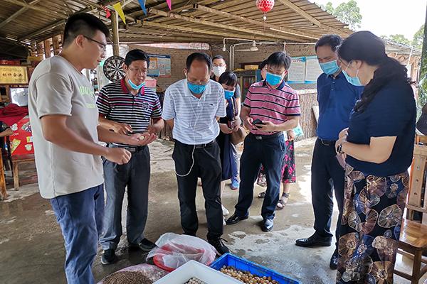 北海市農業局新項目引領農業現代化，鄉村振興再添助力