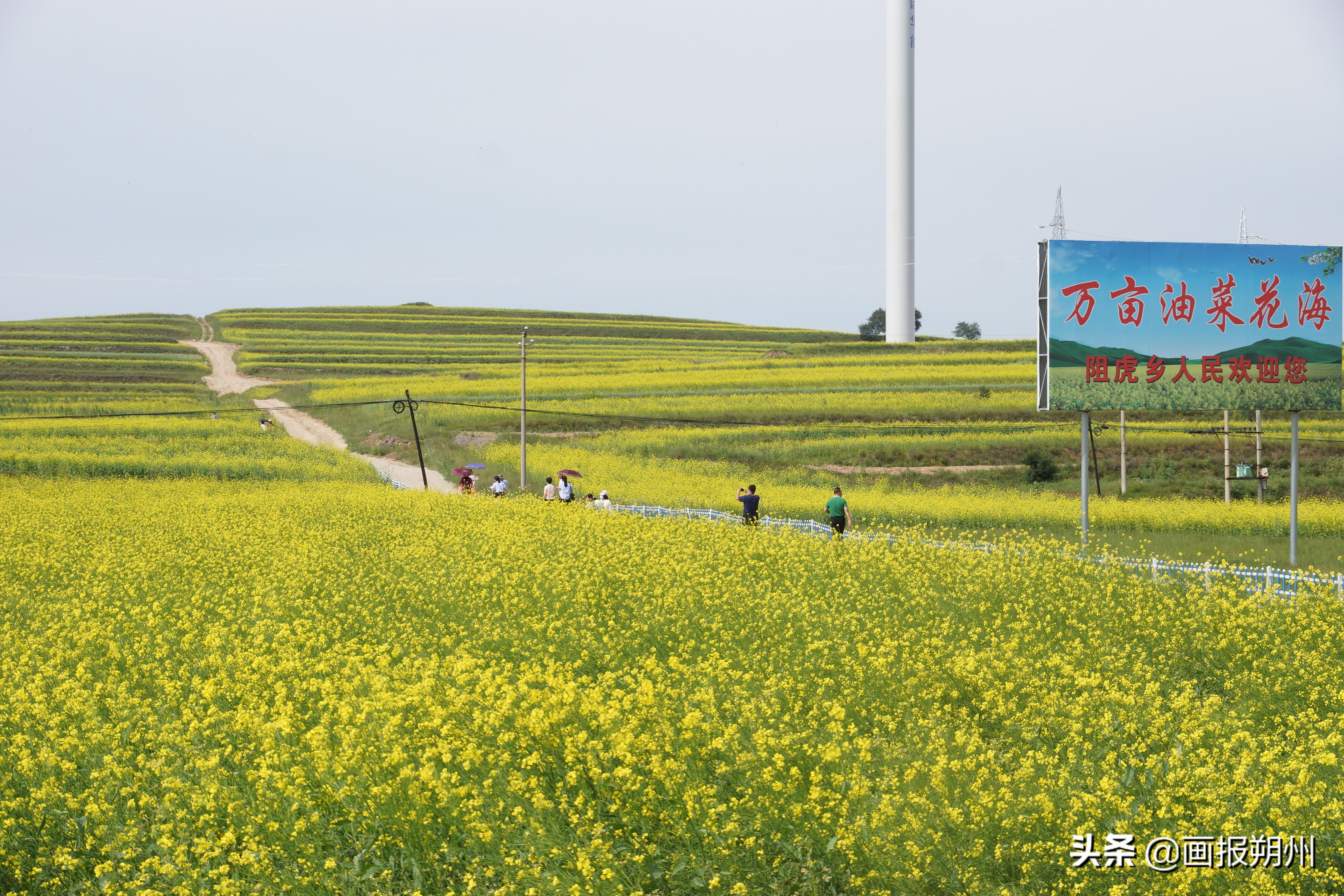 朔州市旅游局最新發展規劃概覽