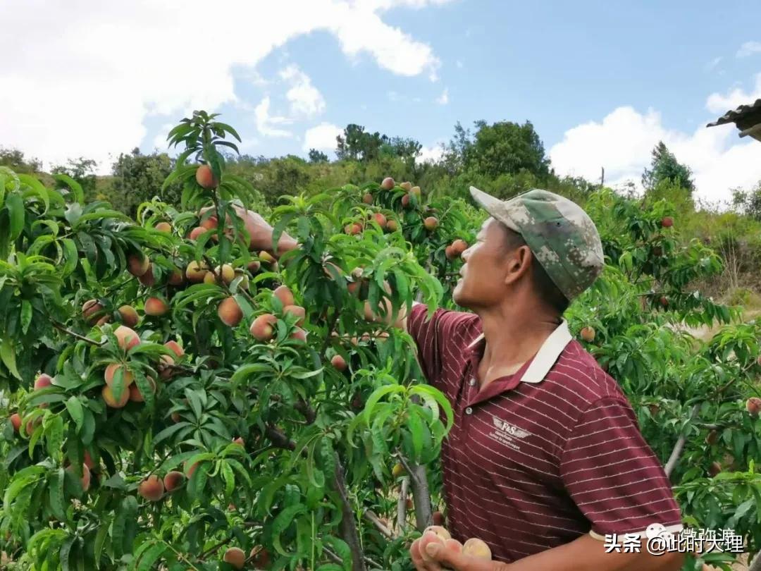 彌渡縣水利局領導團隊全新介紹