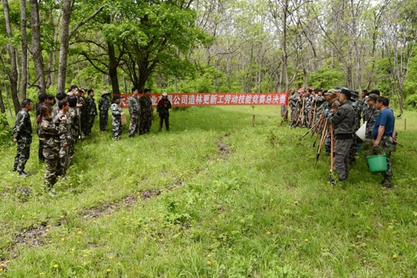 雙鴨山林業局大葉溝林場最新招聘啟事概覽