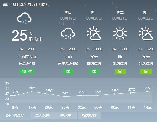 2025年1月 第12頁