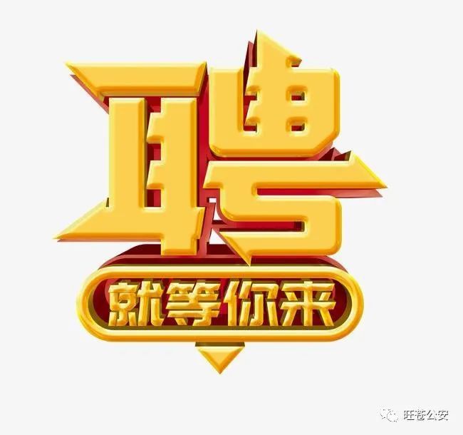 旺蒼縣公安局最新招聘啟事概覽